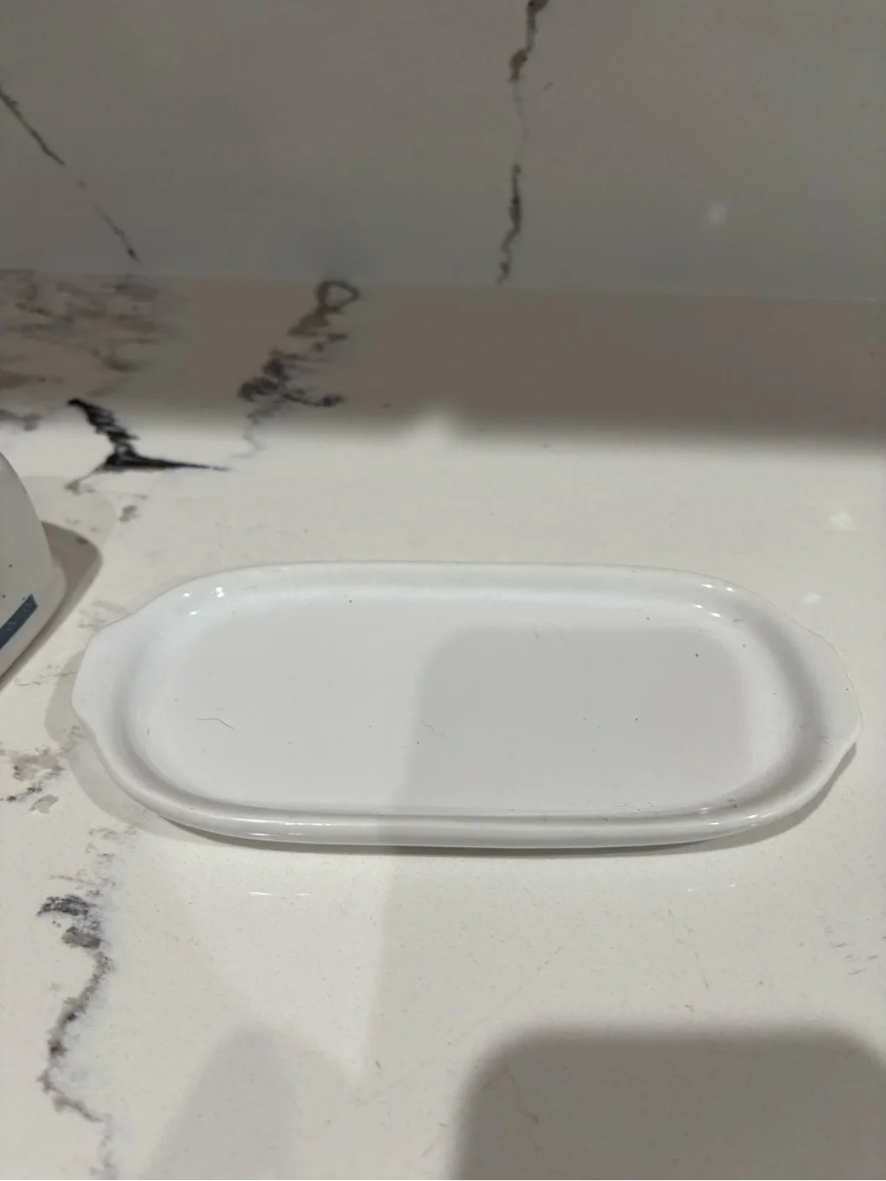 White Ceramic Butter Dish with Duck Family Design